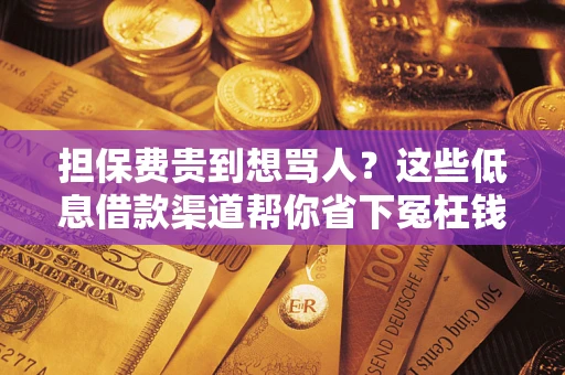 北京担保费贵到想骂人？这些低息借款渠道帮你省下冤枉钱