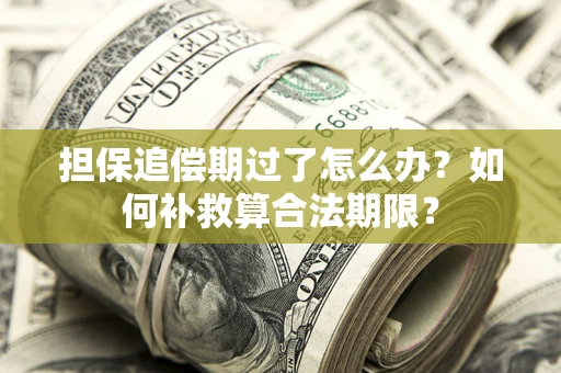北京担保追偿期过了怎么办？如何补救算合法期限？