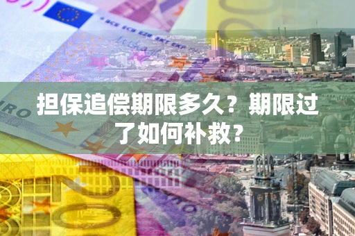 北京担保追偿期限多久？期限过了如何补救？
