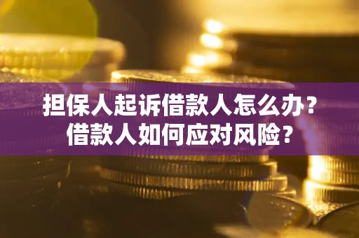 北京担保人起诉借款人怎么办？借款人如何应对风险？